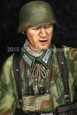 Photo4: Alpine Miniatures[AM35194]German Grenadier NCO