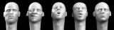 Photo: Hornet[HH25]5 more european heads