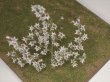 Photo1: Iroha[MS-016] Small White Flower Set（2）