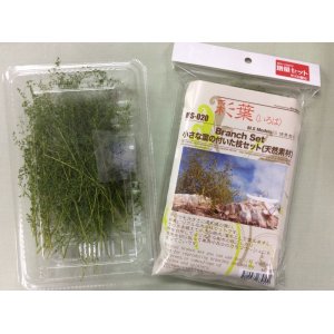 Photo: Iroha[MS-020V] Branch Value Set 