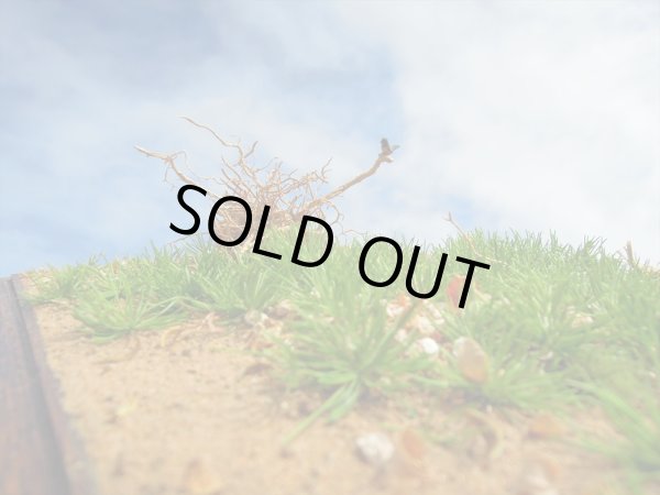 Photo4: Iroha[MS-BOX01] Iroha Value Box(Leaves)