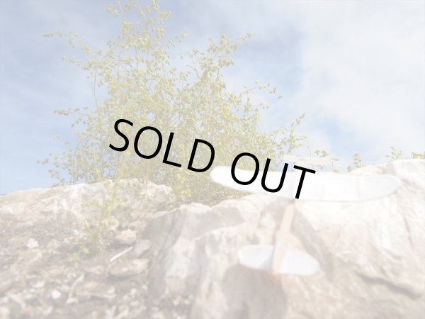 Photo3: Iroha[MS-BOX01] Iroha Value Box(Leaves)