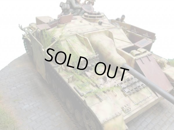 Photo8: Iroha[MS-BOX01] Iroha Value Box(Leaves)