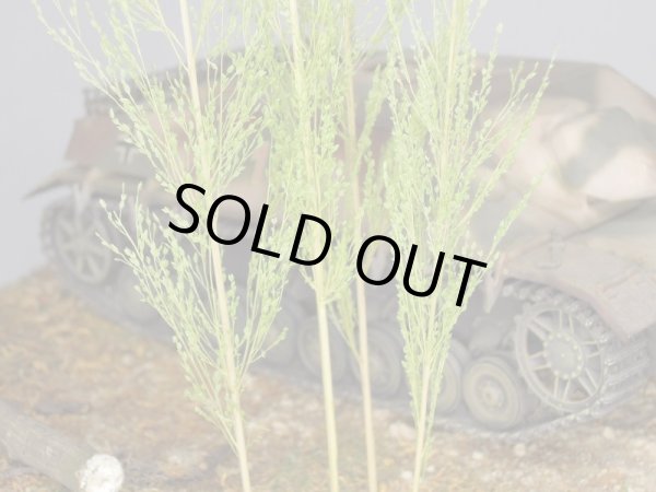 Photo7: Iroha[MS-BOX01] Iroha Value Box(Leaves)