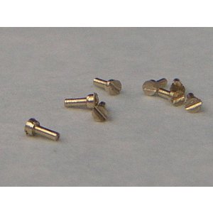 Photo: [Passion Models] [P35-003] 0.9mm  dia "-" screw heads set(100pcs)