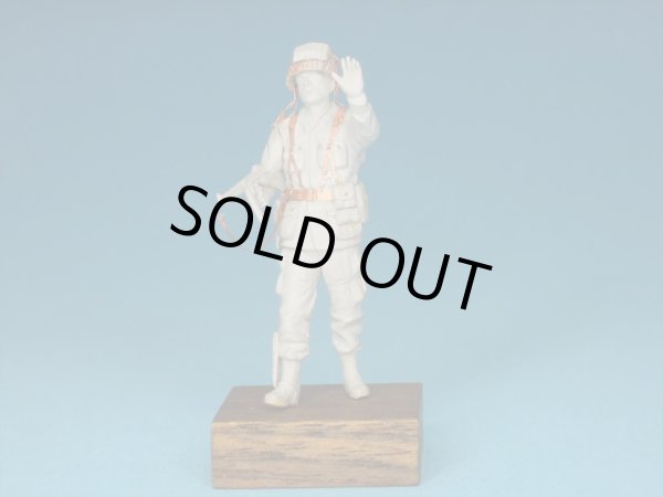 Photo7: [Passion Models] [P35-118] 1/35 WWII U.S Army Airborne/Armoured Div. Gear Set with Decal