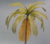 Photo: [Kamizukuri] [A-15] Palm(1/35)