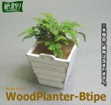 Photo: [Kamizukuri] [G-39] Wood Planter B type