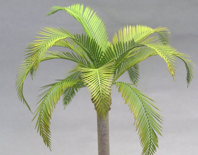 Photo1: [Kamizukuri] [A-31] Coco nuts palm