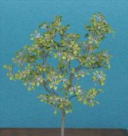 Photo1: [Kamizukuri] [A-8-48] Lime Tree (1/48 scale)