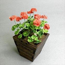 Photo1: [Kamizukuri] [G-27] Ｇeranium