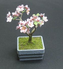 Photo1: [Kamizukuri] [G-29] Cherry tree